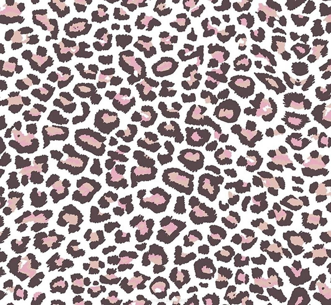 af34688f3675951ddde82200a1f1c1d4